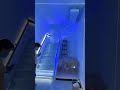 ie stair light controller #light #motioncontroller #ledlighting #motionsensor #ledlights #elegant