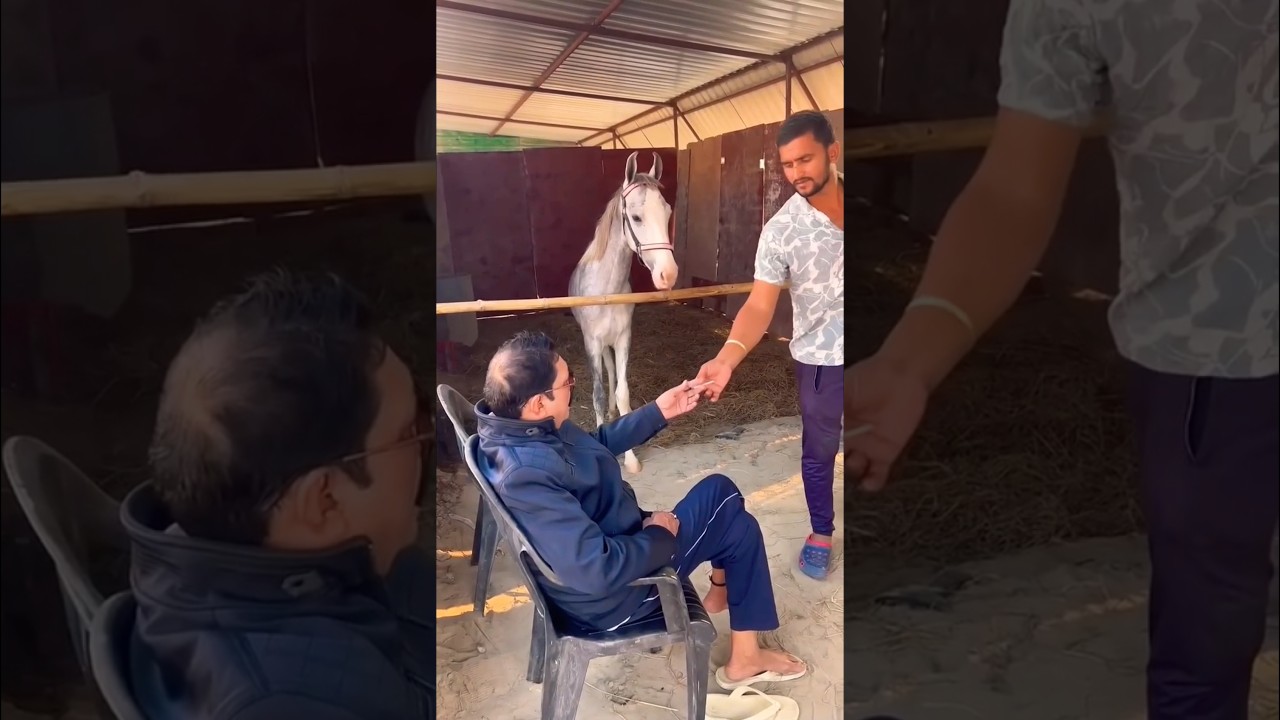 Anant Singh ka sabse jada viral hone wala video " Lao Sigarate re 😂" 