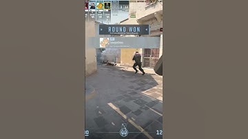 sneaky beaky like #cs2