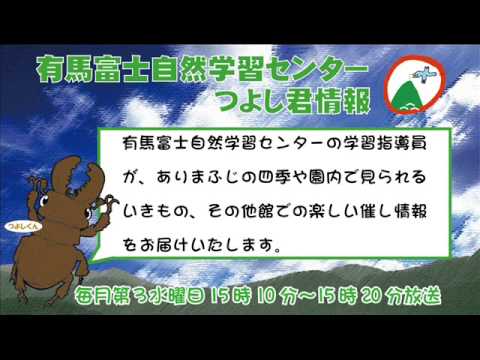 有馬富士自然学習センターつよし君情報 いきもの漢字 その他楽しいイベント情報 平成26年5月21日放送 Youtube