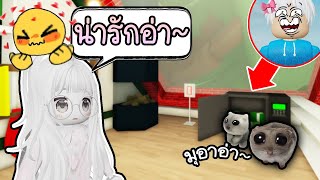 หนูจิ๋ว~ วันๆพันกว่าเรื่อง น่ารักสุบๆ🤏💖🐹Roblox Brookhaven 🏡RP