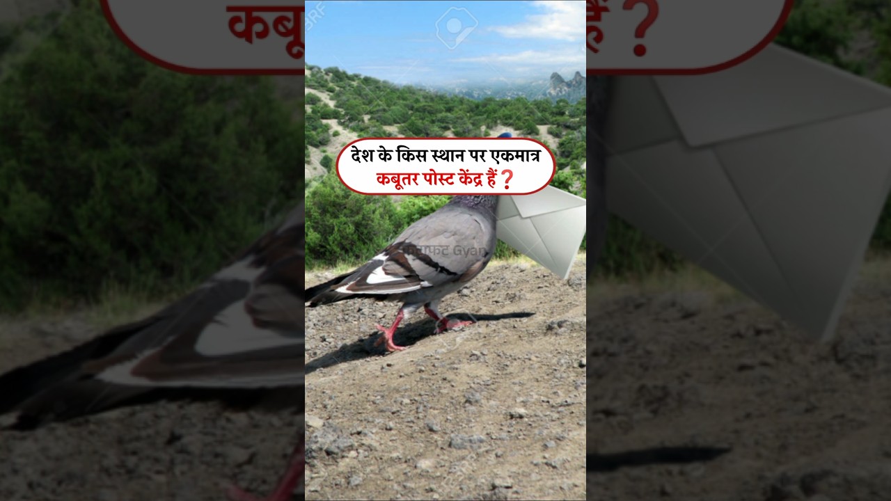 10 Surprising Facts About India’s Postal System You Never Knew