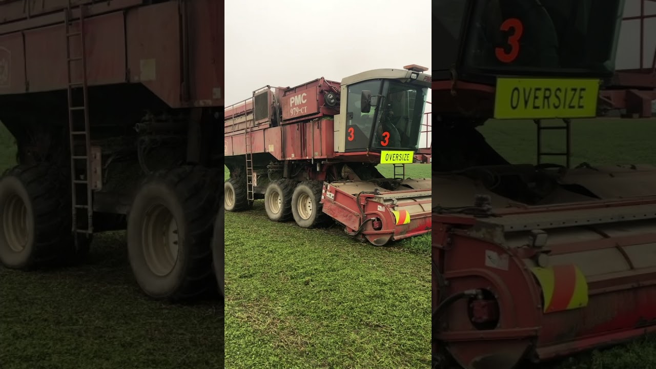 Harvesting Peas NZ | PMC 979-CT