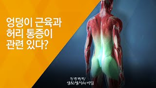 Are Glute Muscles Linked to Lower Back Pain - (Broadcast 10/08/2014_Episode 520) Midlife Women’s...