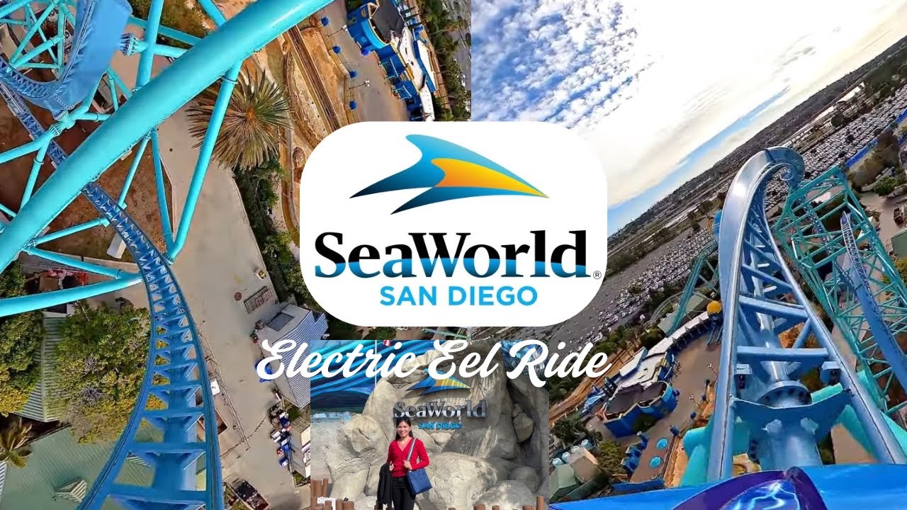 Eel Rides Electric Eel at SeaWorld San Diego Full Ride POV | Fastest Ride Ever ...