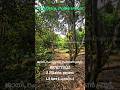 ✨ Angamaly – Mookkannoor, Agricultural Land for Sale ജാതി, റംബുട്ടാൻ, ഡ്രാഗൺ ഫ്രൂട്ട്, തെങ്ങ്,