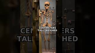 The Boy Who Died 1.5 Million Years Ago The Boy Who Died 1.5 Million Years Ago