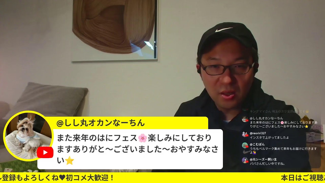 【シーズー】ハニフェスの振り返り&お土産開封ライブ
