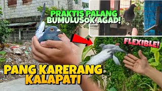 PANG KARERANG KALAPATI BUMUBULUSOK SA PAGSUBOK! | KARERA NG KALAPATI | BUGOY PIGEON TV