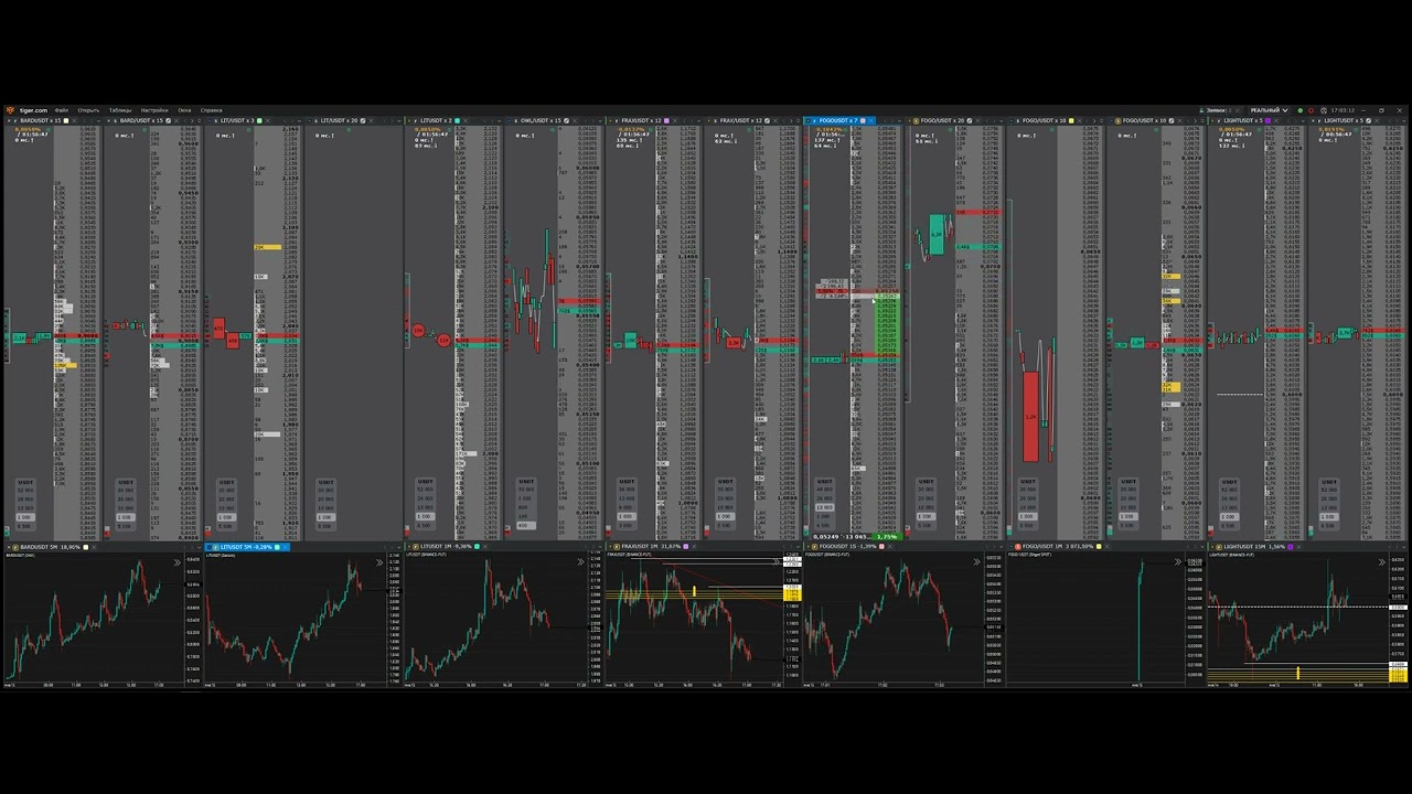 15 01 2025 Сведение спота по FOGO