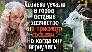 Хозяева уехали в город, оставив своё хозяйство под присмотр ушлых соседей  А когда они вернулись