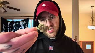 Blue Dream Strain Review From Hometown Cultivation In Oregon