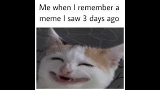 The Best Meme of 2020 That You Must See Now!