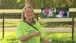 2021 JEFFERSON AWARDS: Debbie Wallace - Giving Everyone A Voice