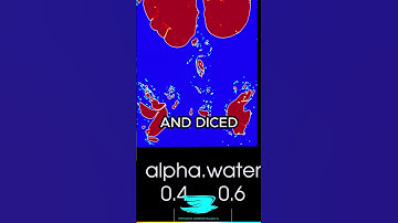 depthCharge2D High Res OpenFOAM Tutorial 2024