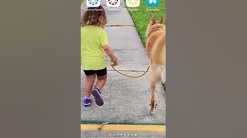Canvas Parent App Overview