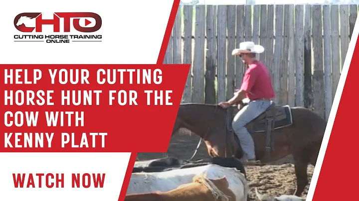 Help Your Cutting Horse Hunt For The Cow With Kenn...