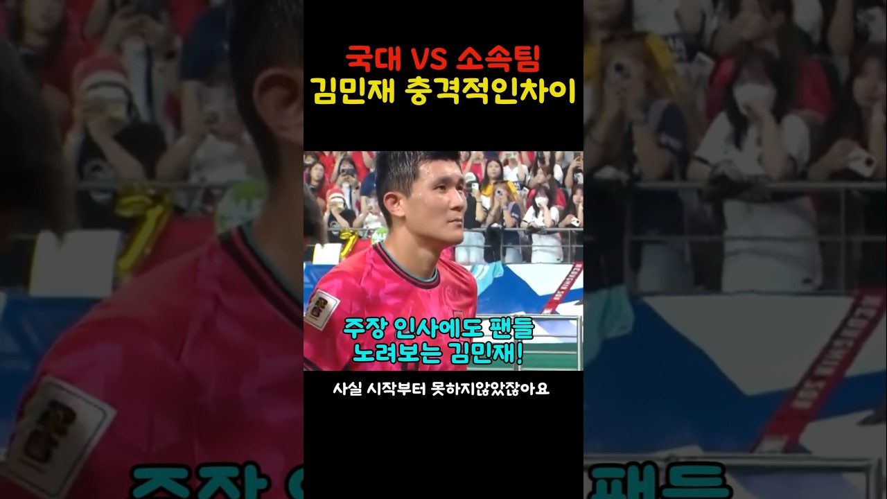 김민재 국대와 소속팀 팬들 온도차이!