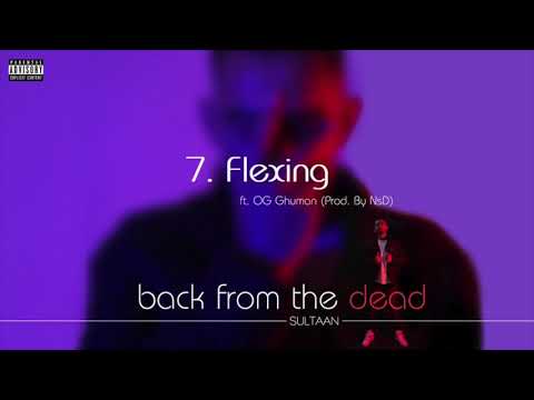 Sultaan Flexin Feat OG Ghuman Official Audio