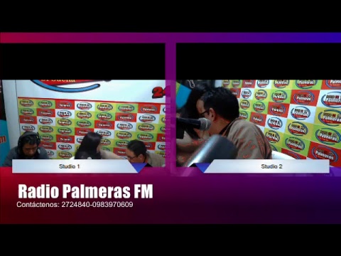 Radio Palmeras FM Tv y Radio Online