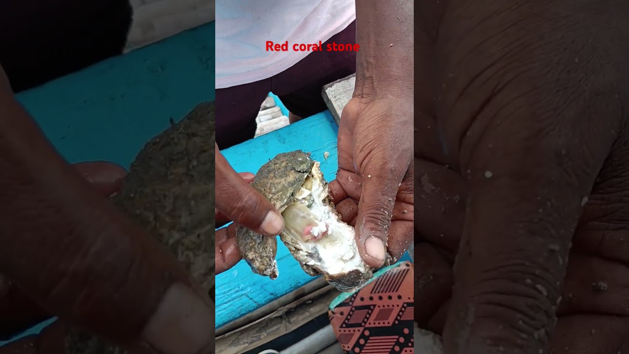 how red coral stone (lal pola/probabl) 