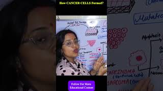 How CANCER CELL Formed? 🤔 #biology #cellbiology #science