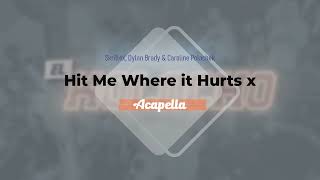 Skrillex Dylan Brady U0026 Caroline Polachek  Hit Me Where It Hurts X acapella   Instrumental