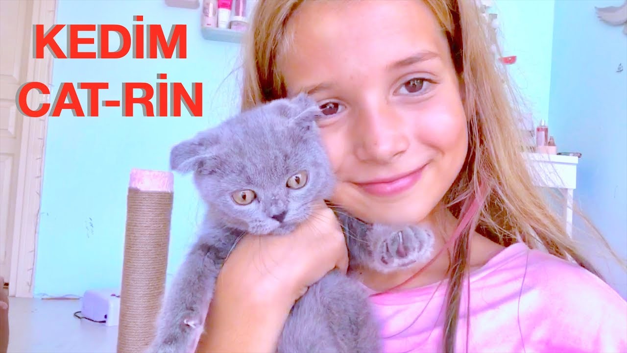 Bir Kedim Oldu Cat Rin Icin Odamda Yer Aciyorum Ecrin Su Coban Youtube