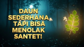 TERUNGKAP!! ASAL USUL DAUN KELOR PENGUSIR TELUH DAN SANTET YANG BIKIN MERINDING!