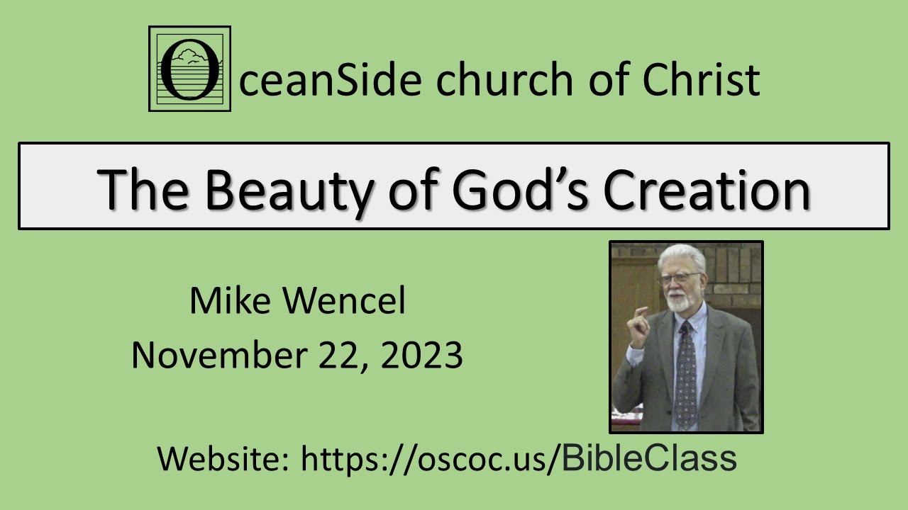 The Beauty of God's Creation - Psalm 104 - YouTube