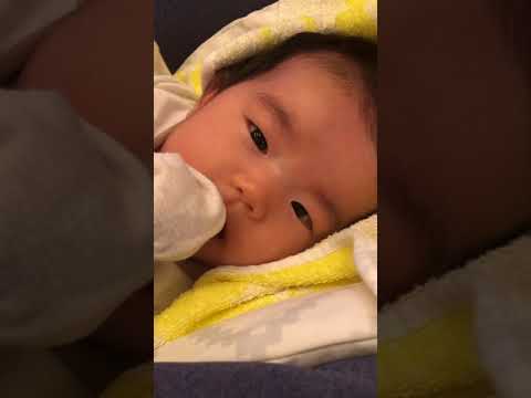 おさかな天国が嫌いな赤ちゃん