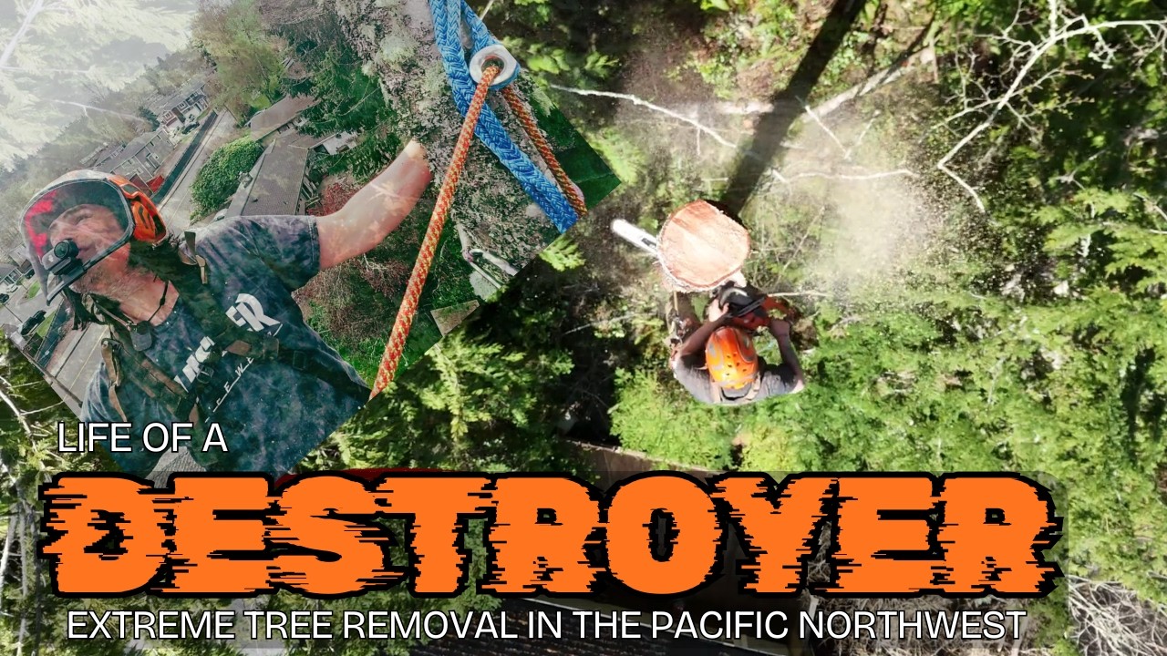 Life of a Destroyer: Extreme Tree Removal in the Pacific Northwest