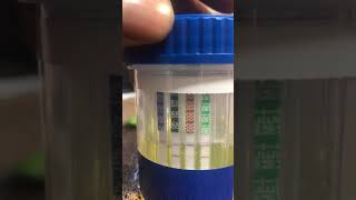 RESULTS USB PILL