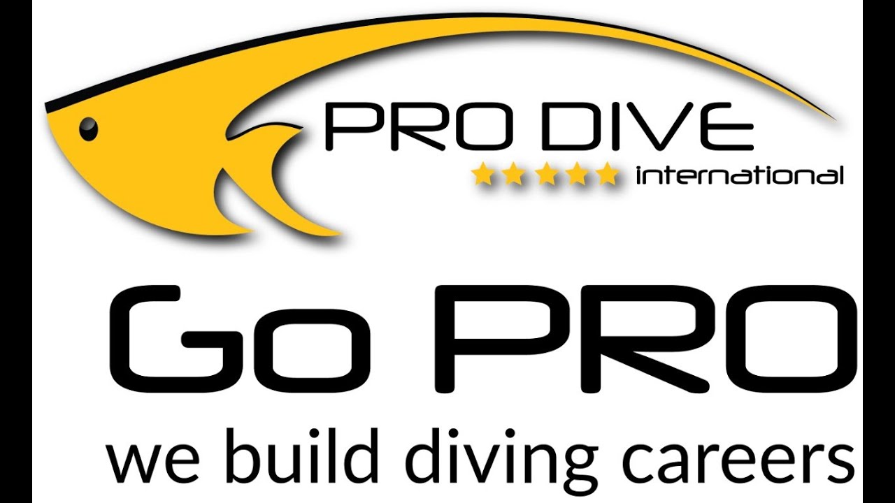 IDC Training in Mexico