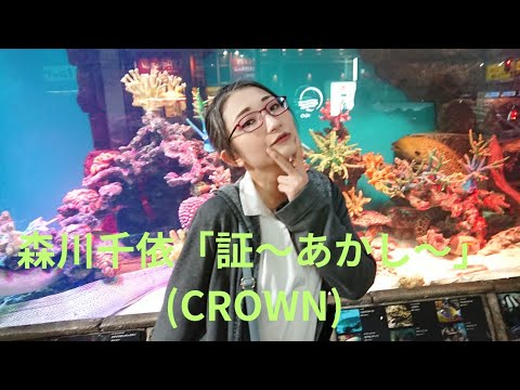 森川千依「証～あかし～」(CROWN)、梅田ドン・キホーテ、２３.０３.０９