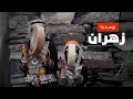يوم بدينا    تراث زهران