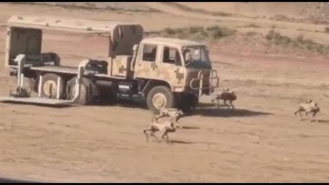 China Deploys Armed Robot Dogs at Military Expo | Zhuhai 2024