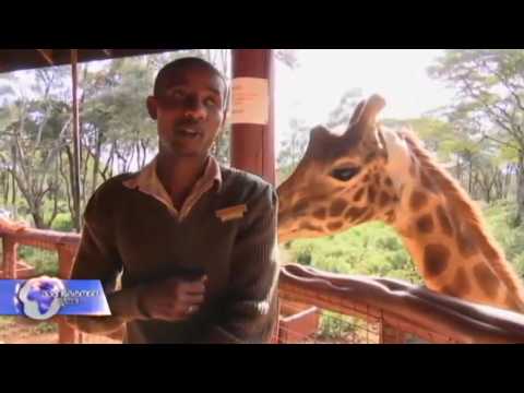 გადაშენების საფრთხის წინაშე