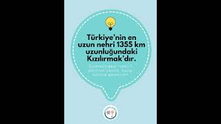 Bilsem Mülakat Hazırlık Soru Serisi | Kelime Soruları #bilsem #bilsemhazirlik #bilsemmulakat