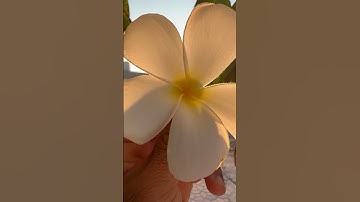 من روائع الشيخ عبدالباسط عبدالصمد /راحة النفس#سورة_يوسف