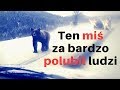 W Bieszczadach miś za bardzo polubił ludzi. Co z nim zrobili?