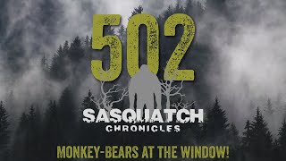 SC EP:502 Monkey-Bears at the window!