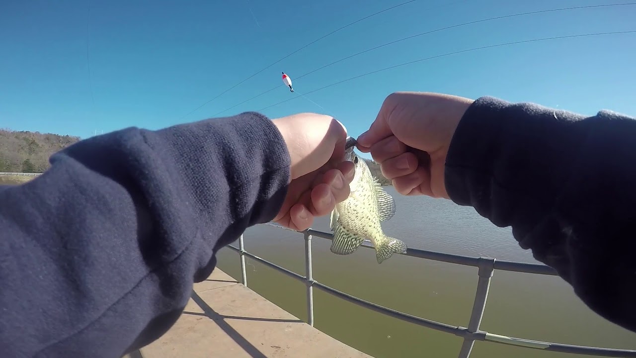 WINTERTIME LIVE BAIT CRAPPIE FISHING!!!!!! YouTube