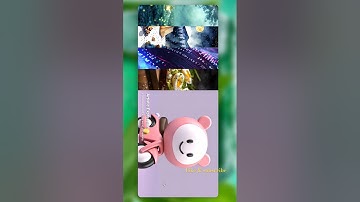 Stunning Horizontal Image Accordion with Smooth Transitions | HTML CSS & JavaScript#developerxon