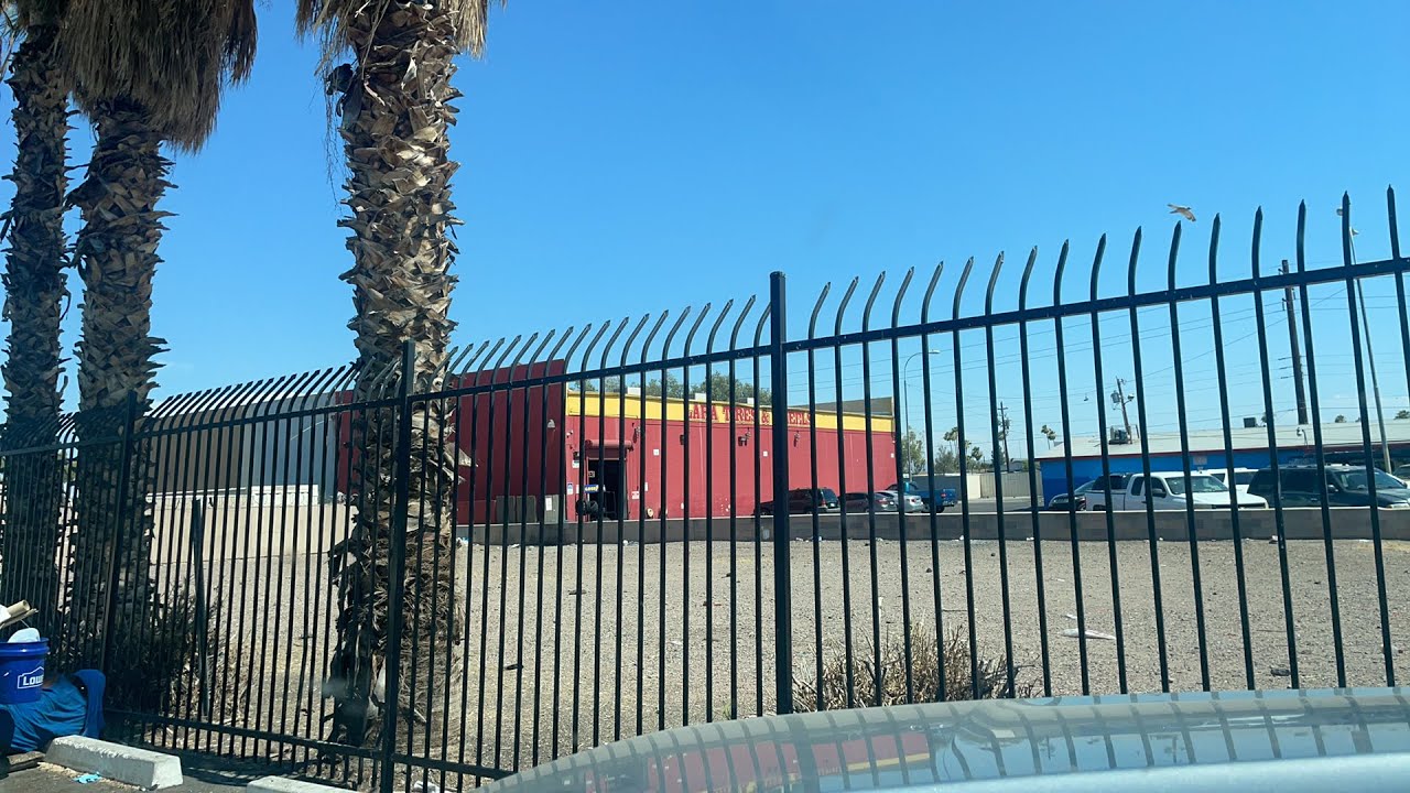 115 degrees in Phoenix.is there any lizards out?