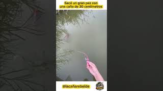 Usó una caña de 30cm para sacar un gran pez