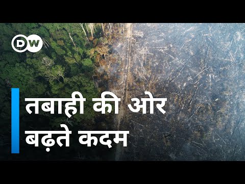 वीडियो: जंगलों में सफाई क्यों हो रही है?