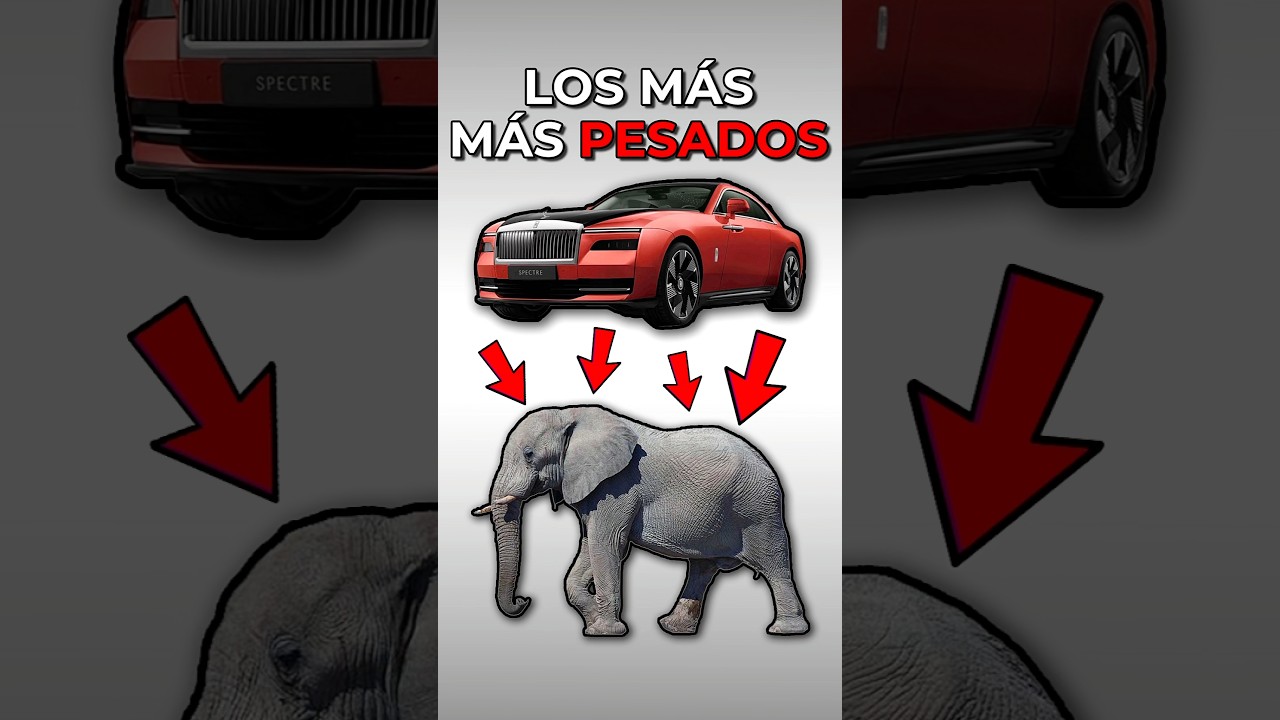 LOS COCHES MÁS PESADOS del MERCADO 🐘                  