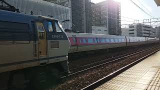 EF66と381系（ゆったりやくも色）