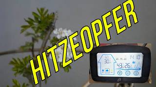 Hitzeopfer